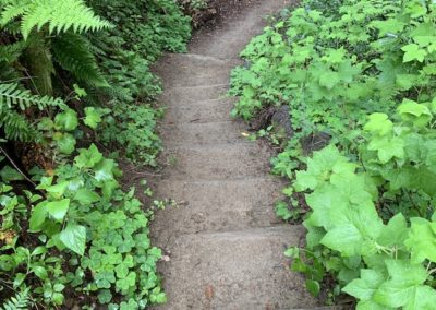 Monterey Hiking Guide
