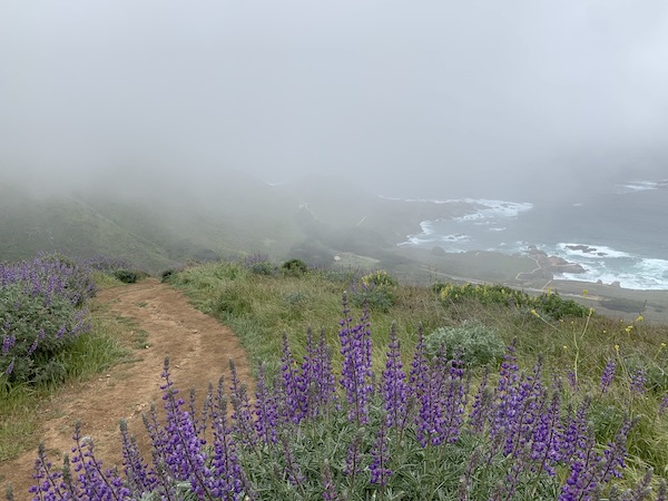 Monterey Hiking Guide