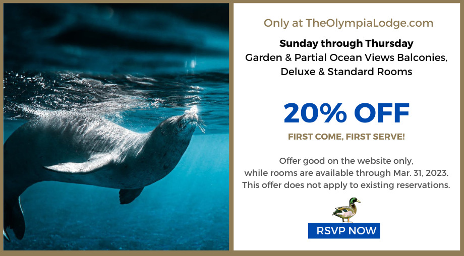 Get 20% off this March, online only, Sunday through Thursday.