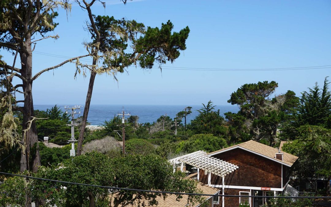 The Olympia Lodge’S Handy-Dandy Guide To Antiques & Collectables Around The Monterey Bay