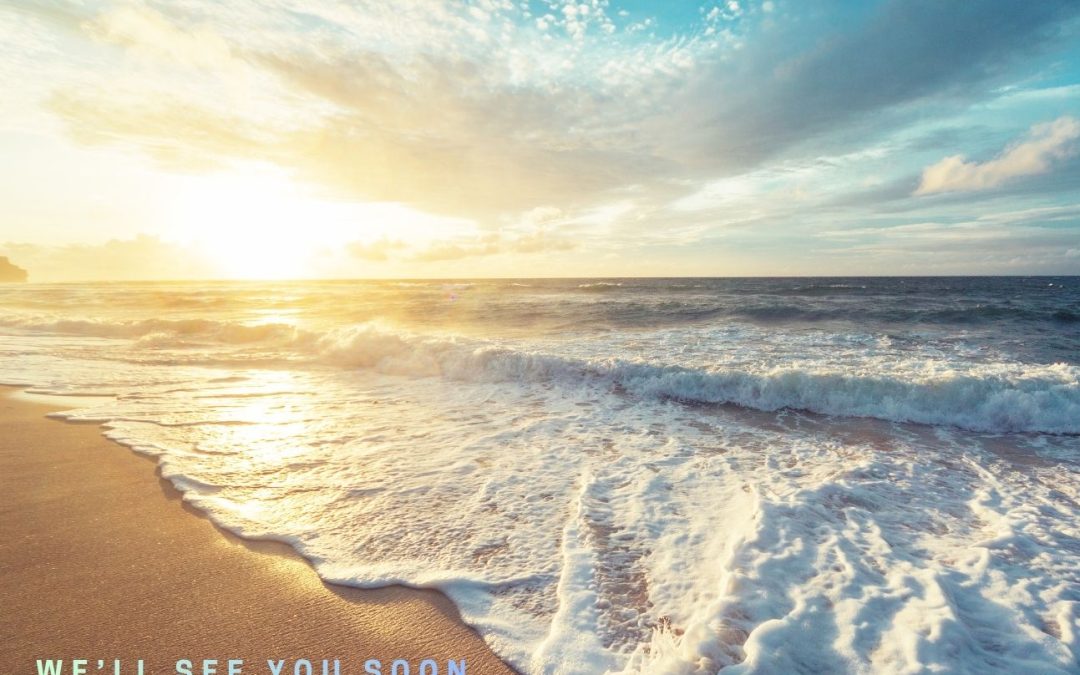 Beyond the Aquarium: A Guide to Monterey Bay’s Gourmet Dining, Legendary Golf, and Iconic Car Culture