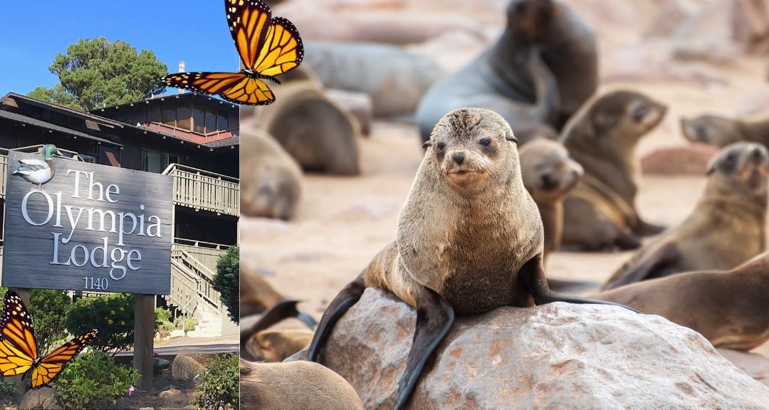 Hit the ‘Pause’ Button: Your December De-Stress Retreat Awaits